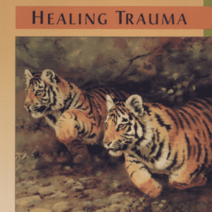 Healing Trauma - Somatic Experiencing (1.5HR) Presented by Dreya Blume, MSW, LCSW