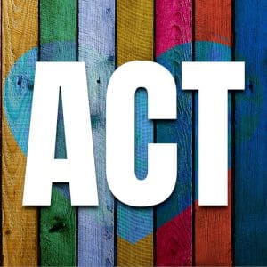 Acceptance and Commitment Therapy: An Introduction to Principles and Interventions (3HR) Presented by Dreya Blume, MSW, LCSW