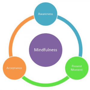 Integrating Mindfulness Education for Clients in Clinical Practice: A Deep Dive into Mindfulness Skills and Implementation (3HR) Presented by Dreya Blume, MSW, LCSW
