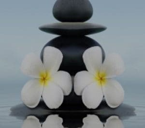 Mindfulness Based Cognitive Therapy (1.5HR) Presented by Stacy Blankenship, MSW, LCSW