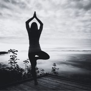 Somatic Psychotherapies in Clinical Settings: Practical Applications for Trauma, Addiction and Anxiety (7HR) Presented by Dreya Blume, MSW, LCSW