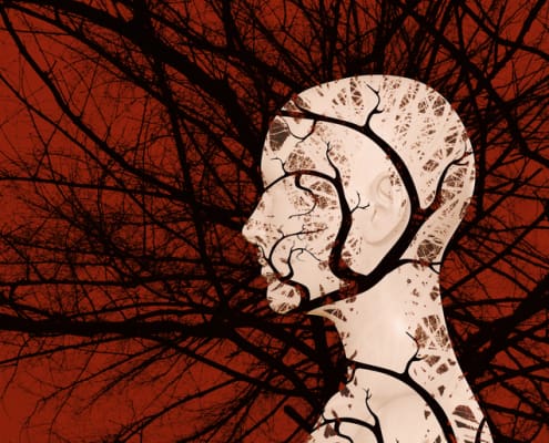 Somatic Trauma Healing