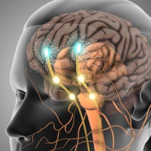 3 CE Hours - Advanced Nervous System Strategies to Support Regulation & Mind Body Connection <sm><br><b>DATE:</b> Friday, November 14, 2025 </sm><sm><br><b>TIME:</b> 1:30 pm - 4:30 pm EST</sm>