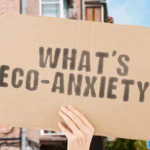 2 CE Hours - Eco-Anxiety and Climate Grief: Supporting Clients in Coping with Climate Distress <sm><br><b>DATE:</b> Thursday, September 25, 2025 </sm><sm><br><b>TIME:</b> 5:30 pm - 7:30 pm EST</sm>
