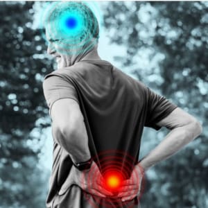 1.5 CE Hours <b style="color:#ff0000;">"Lunch & Learn"</b> – Managing Chronic Pain: Introduction to Pain Reprocessing Therapy (PRT) <sm><br><b>DATE:</b> Tuesday, Sept 16, 2025 </sm><sm><br><b>TIME:</b> 12:00 pm - 1:30 pm EST</sm>