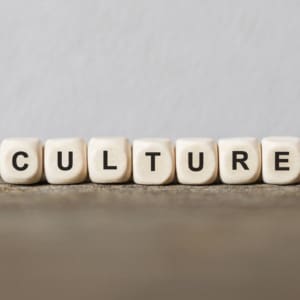 Exploring the Cultural Formulation Interview (1.5HR) Presented by Diane Bigler,  LCSW, LSCSW
